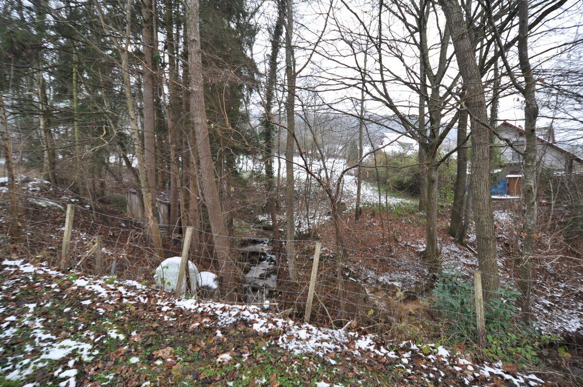 Immobilienangebot - Badenweiler - Häuser - Wohnoase in traumhafter Lage