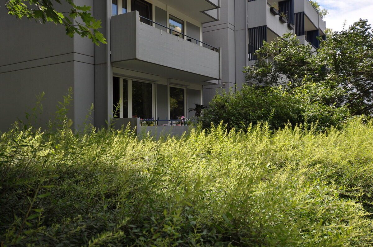 Immobilienangebot - Freiburg im Breisgau - Wohnungen - Attraktiv für Kapitalanleger und Eigennutzer - Einzimmer-Apartment am Seepark